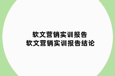 软文营销实训报告 软文营销实训报告结论